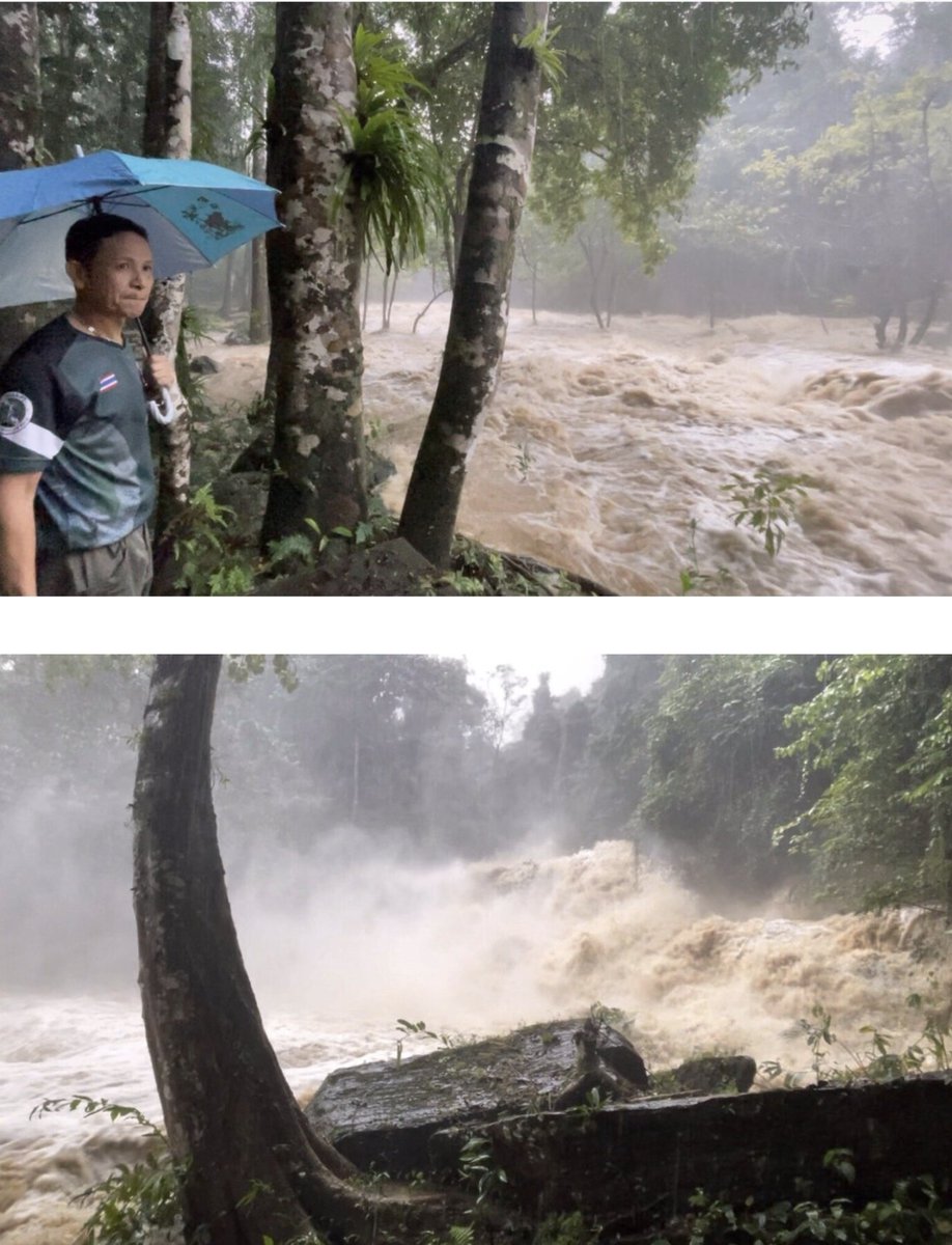 joe_black317's tweet image. ตรังระทึก! น้ำป่าเขาบรรทัดทะลักรอบ 2 ซัดสะพานถล่ม ชาวบ้าน 100 ครัวเรือนถูกตัดขาด มวลน้ำไหลท่วมซ้ำสอง อ.ย่านตาขาว-ปะเหลียน

เมื่อเวลา 16.00 น. วันที่ 24 พฤศจิกายน ผู้สื่อข่าวรายงานสถานการณ์น้ำจากเขตรักษาพันธุ์สัตว์ป่าเขาบรรทัด อ.ปะเหลียน จ.ตรัง พบสภาพน้ำตกที่อยู่บนภูเขา ได้แก่…