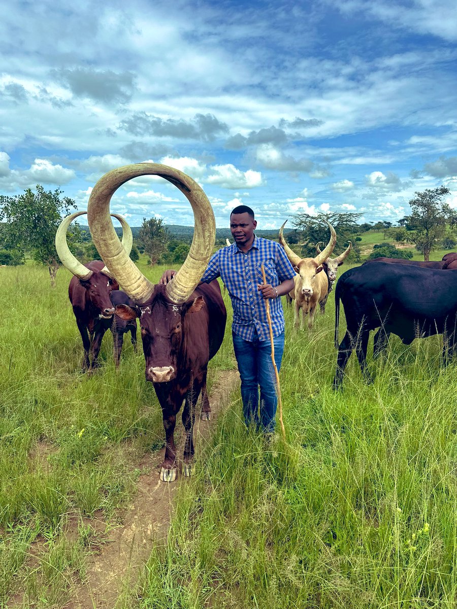 These cows raised us.
#OurHeritage #OurPride