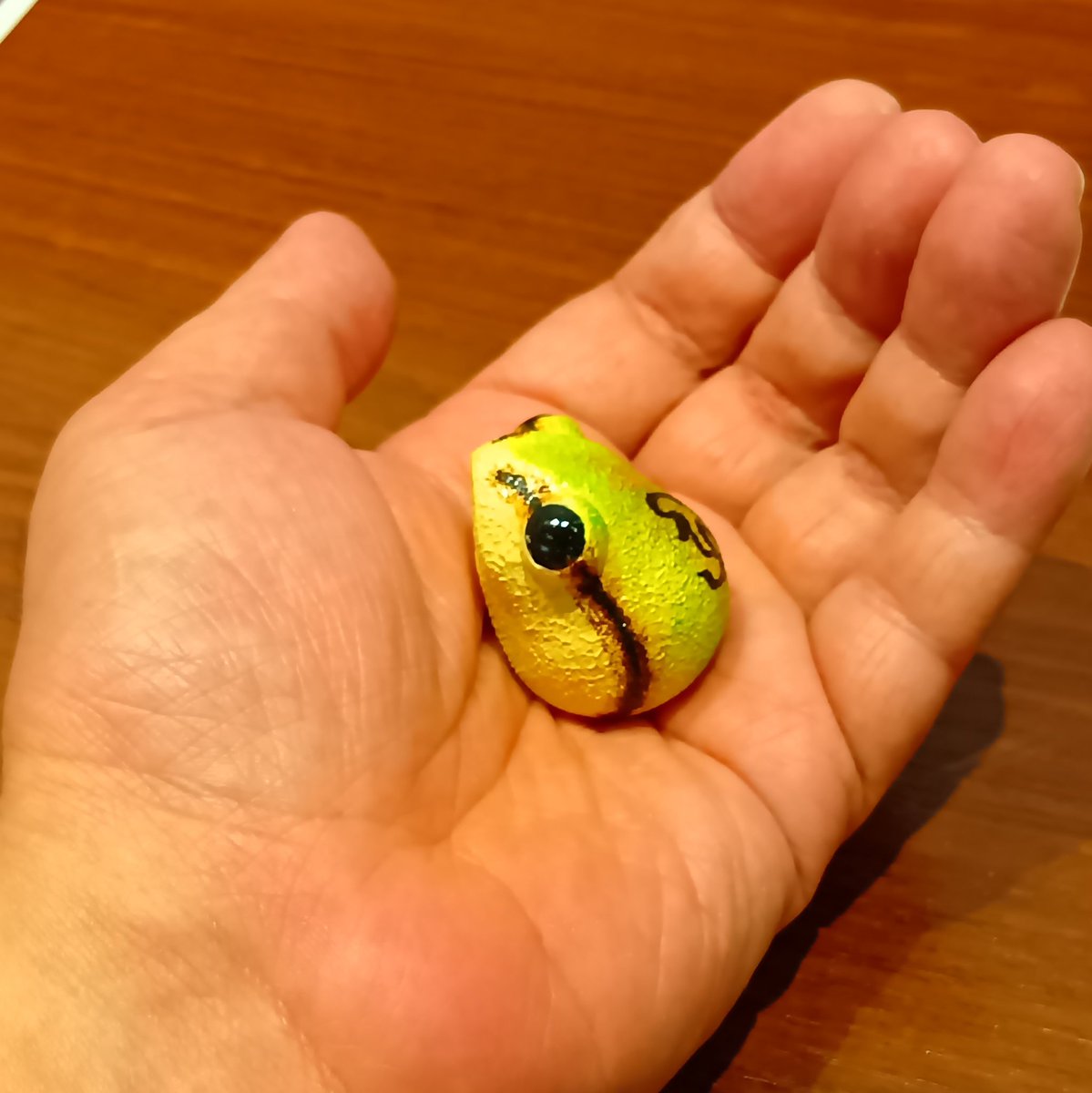 モッケ旅団 #蛙びとの集い