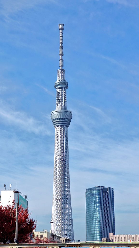 _dee_hii's tweet image. 久しぶりの #スカイツリー

連休もおわっちゃうけど

てきとーにおだやかに

#みんなの風景写真 #空がある風景  #you39RT