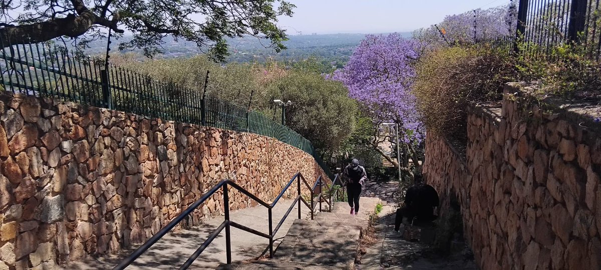 FitFunFusion's tweet image. The Westcliff Stairs Walk. The total distance is approx. 11 km. We start at the entrance to Cinema Nouveau, Rosebank Mall, we walk along Saxonwold Drive lined with charming high-end residences... fitfunfusion.com/the-westcliff-…