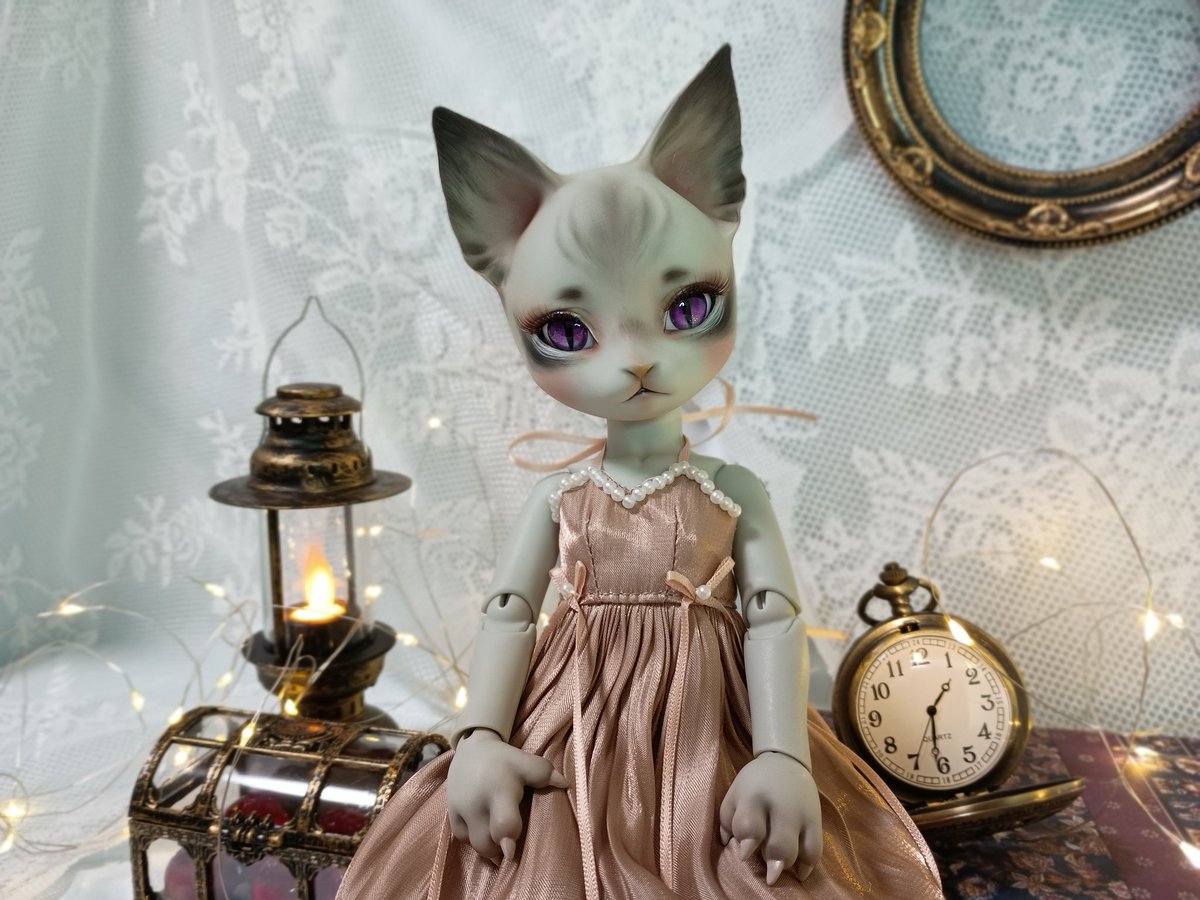 nyanco_doll's tweet image. お迎えしました。
#うちのこかわいい