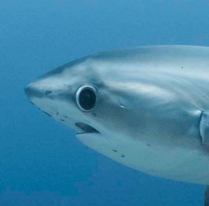 Tender Ties (BOT ON‼️) tweet media