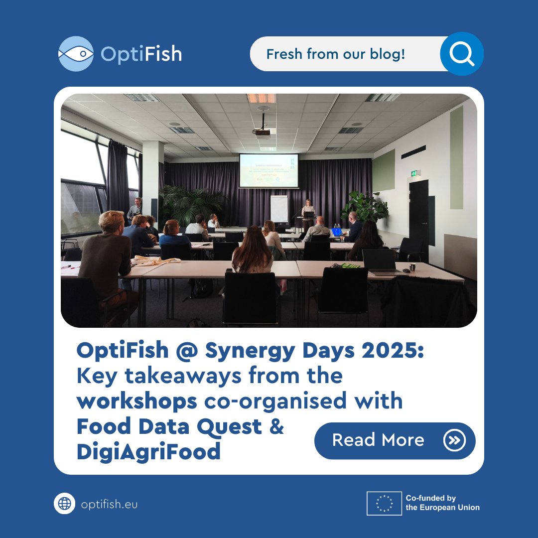 OptiFish tweet media