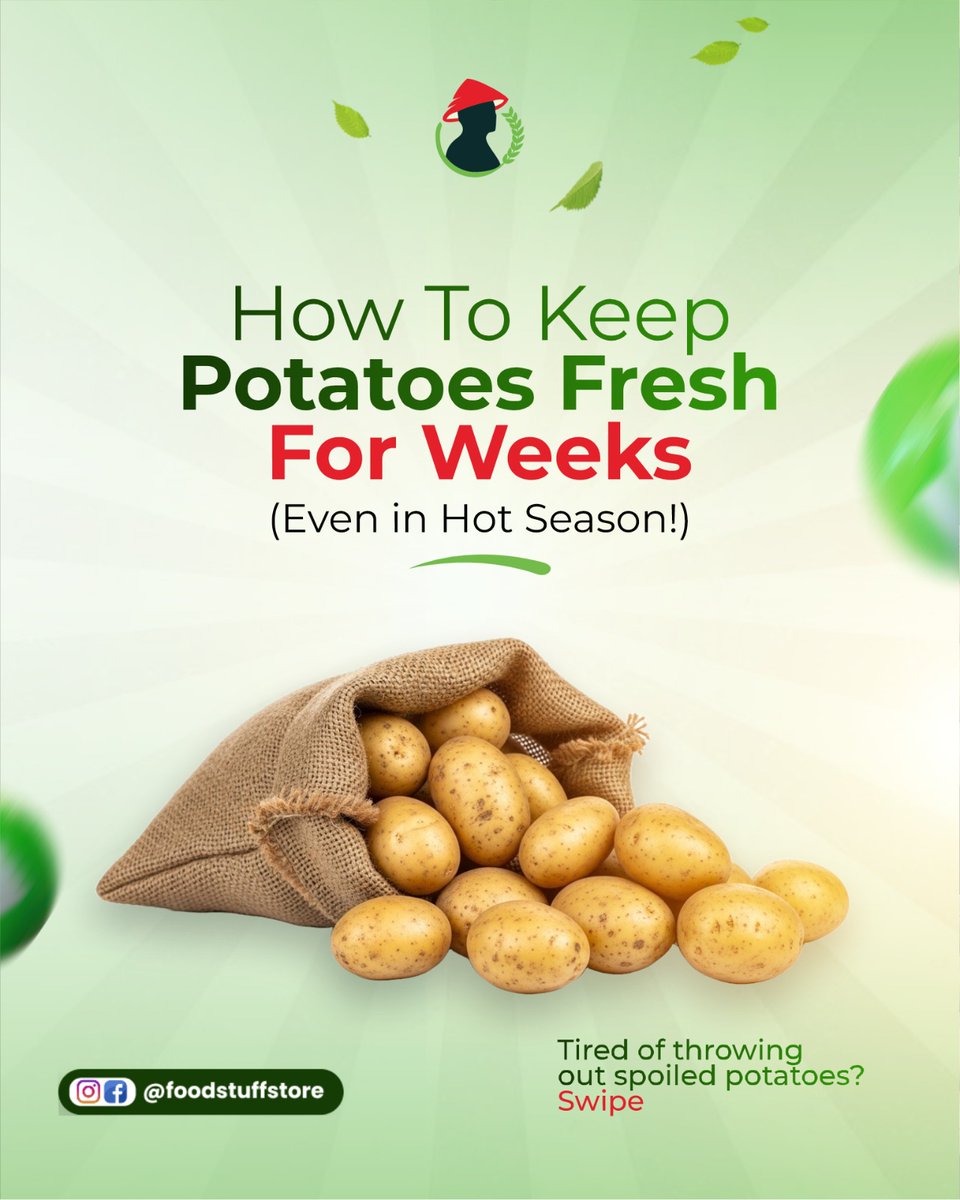 FoodstuffStore's tweet image. Potato lovers, listen up! 📢 Whether you&apos;re craving them mashed, fried, or roasted, the secret to a great potato is great storage.

Storing them properly means less waste and more delicious meals later. Keep your potatoes happy and your wallet fuller! 💰

 #storagetips #foodstuff