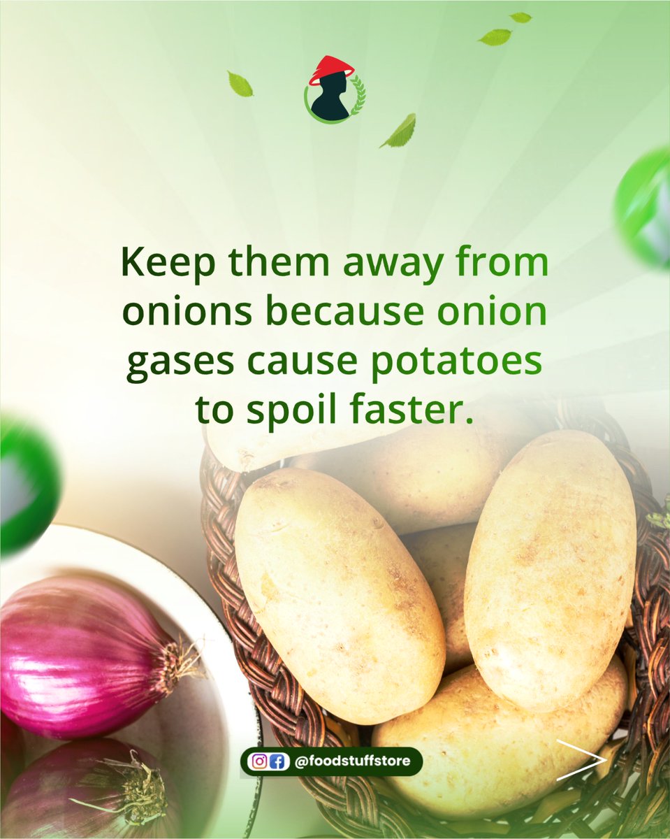 FoodstuffStore's tweet image. Potato lovers, listen up! 📢 Whether you&apos;re craving them mashed, fried, or roasted, the secret to a great potato is great storage.

Storing them properly means less waste and more delicious meals later. Keep your potatoes happy and your wallet fuller! 💰

 #storagetips #foodstuff