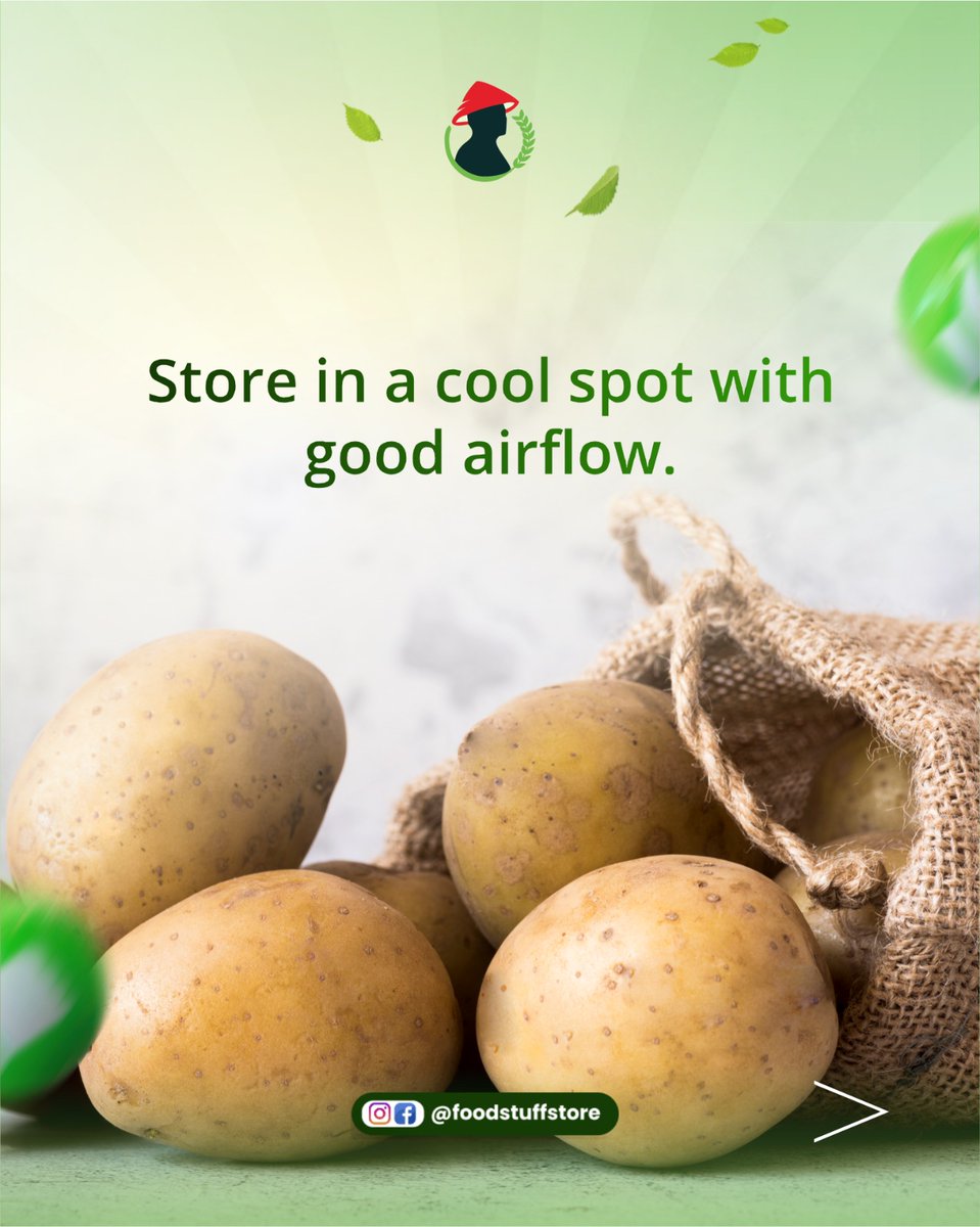 FoodstuffStore's tweet image. Grab your premium potatoes from Foodstuff store now! 🛒✨

#potatolove #storagetips #foodpreservation #kitchenlife #mealprep #foodstuffstore #potatotips