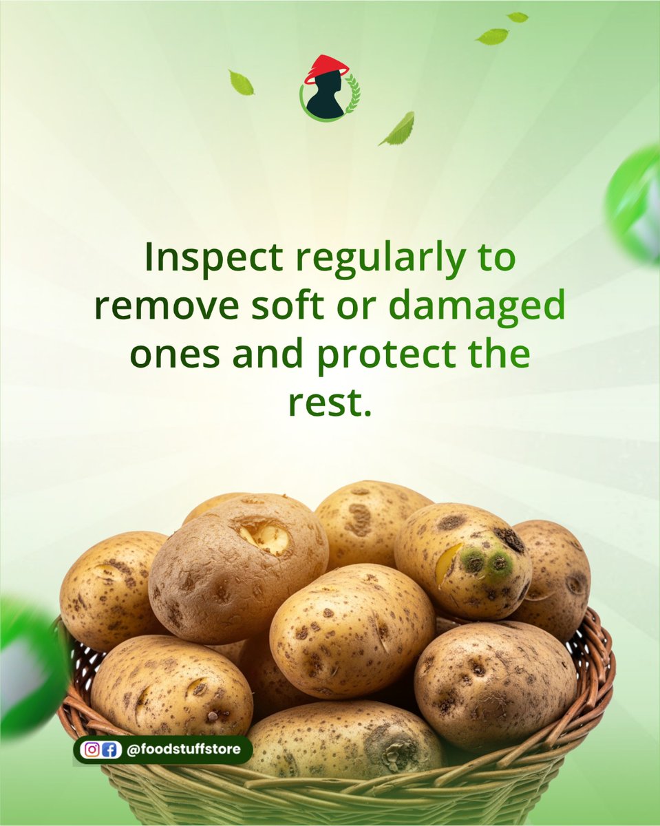 FoodstuffStore's tweet image. Grab your premium potatoes from Foodstuff store now! 🛒✨

#potatolove #storagetips #foodpreservation #kitchenlife #mealprep #foodstuffstore #potatotips