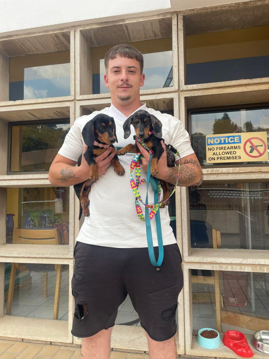 A huge thank you to everyone who adopted a shelter pet this year -  you’ve truly changed a life. As we head into the festive season, a gentle reminder: please don’t adopt “just for Christmas.” Many pets are sadly returned in January, and it’s heartbreaking.
#JSPCA