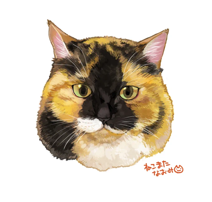 ひとんちのネコチャン勝手に描くマン!