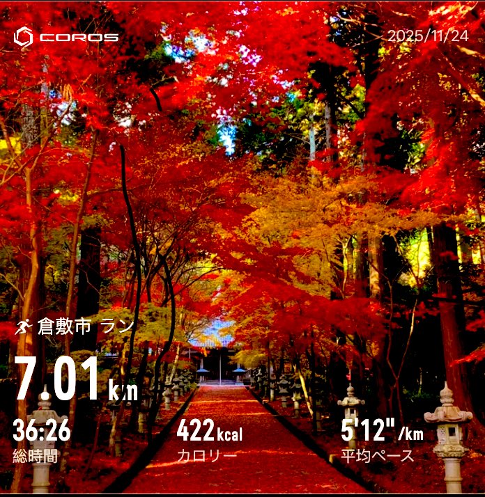 Rz5foTEcwp40105's tweet image. 夜RAN7km走って来ました😊
もう紅葉🍁が綺麗な時期になりましたね😉
#COROS
#jog
#ランニング好きな人と繋がりたい
#ジョギング
#マラソン
#asics
#Nike