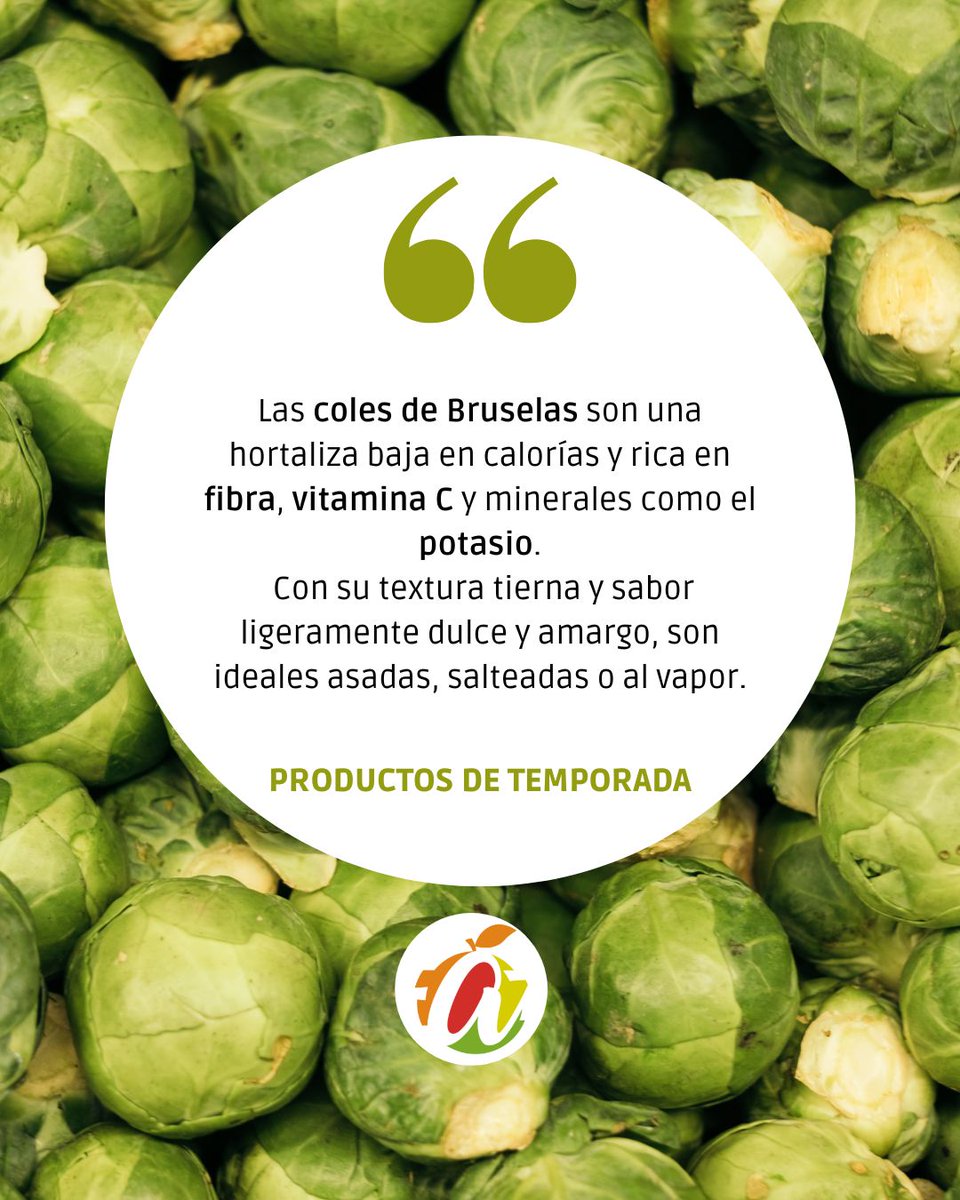🥦 Coles de Bruselas: o las amas… o las amas un poco menos...

Tienen tantos fans como detractores, pero lo que nadie puede negar es que son una hortaliza llena de sabor, fibra y vitamina C. 😉

#ASOMAFRUT #Mercamadrid #Madrid #Hortalizas #FrutasTemporada #MercadodeFrutas