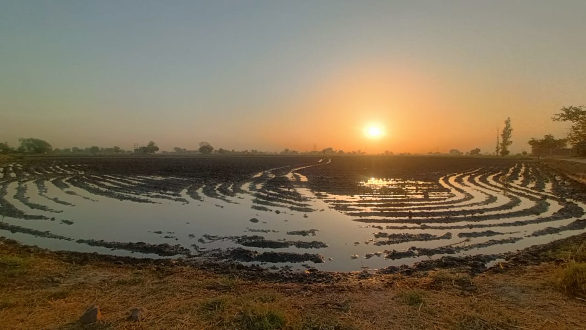 Truthvibeswrite's tweet image. Nature
so much we owe to thee
u liberate
our syllabic legacy
trapped under roots
How else
could we write poetry
oh dust
from thee
we come
to thee
we return
#relevant for a while
as snow&apos;s on the sea
Thine ruddy dawn chariot&apos;s
happy rays hum hymns
#vss365
#FoxProse
#fairytalepoets