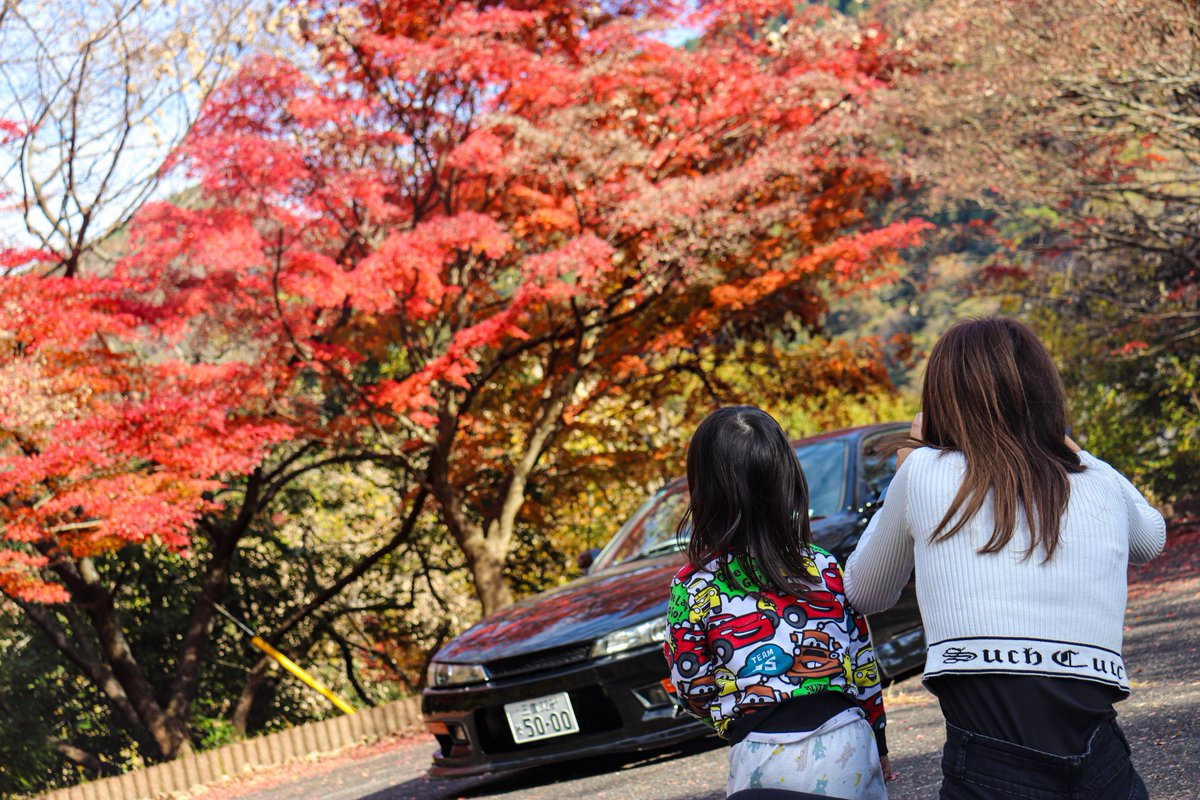 シルビア × 紅葉🍁

今日は嫁のシルビアの
写真を撮ってきました📸