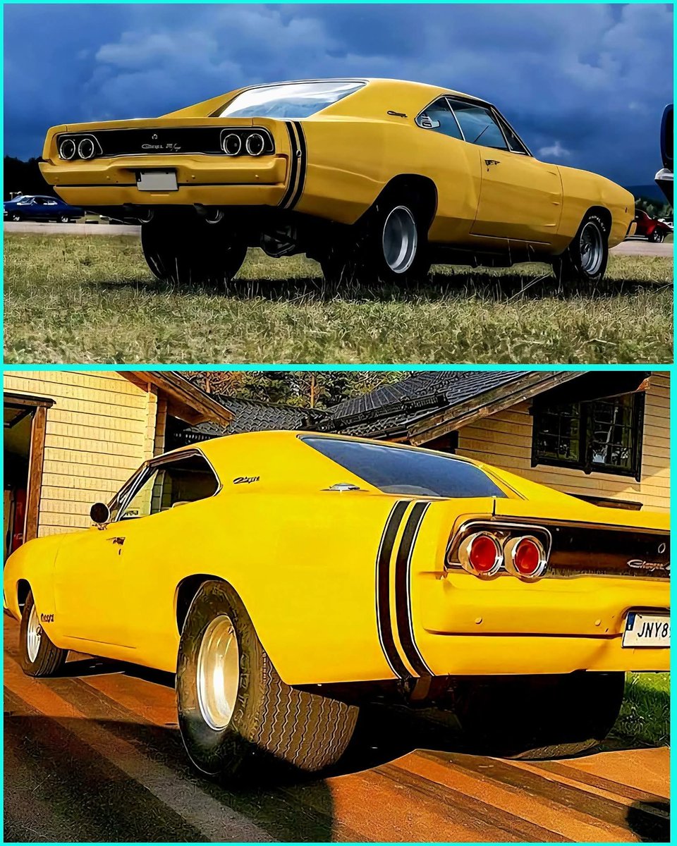 Mopar_Logic's tweet image. Fat tire Dodge Charger