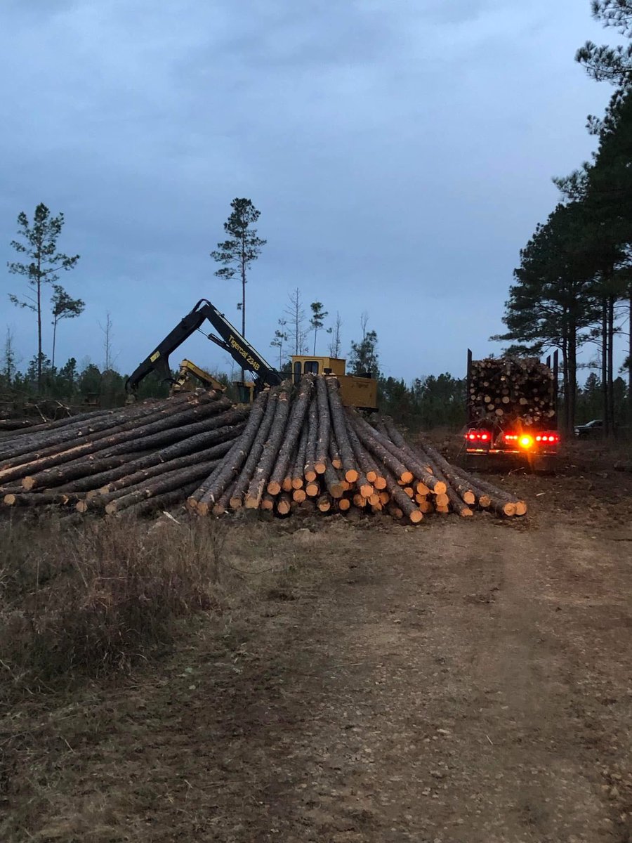 Chance of rain tonight and maybe a storm. It’s the week we express Thankfulness. We should express it daily not one day a year . Wherever you are or whomever you are if you’re reading this Thank you and have a a blessed day .