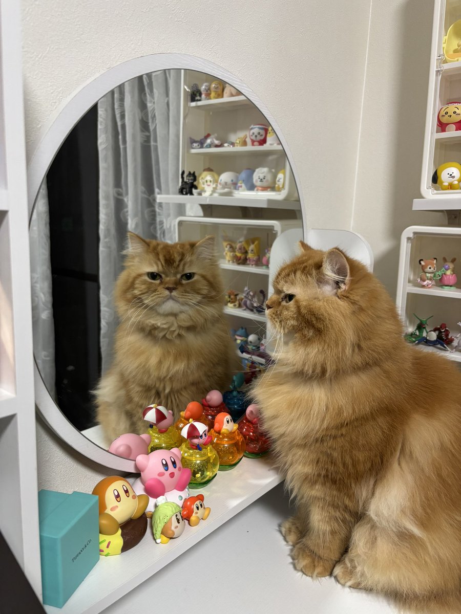 k75207064's tweet photo. 俺イケメンだろ？
と申してます。

そして、入籍しました🫶🏻 https://t.co/gNoby8dLkW