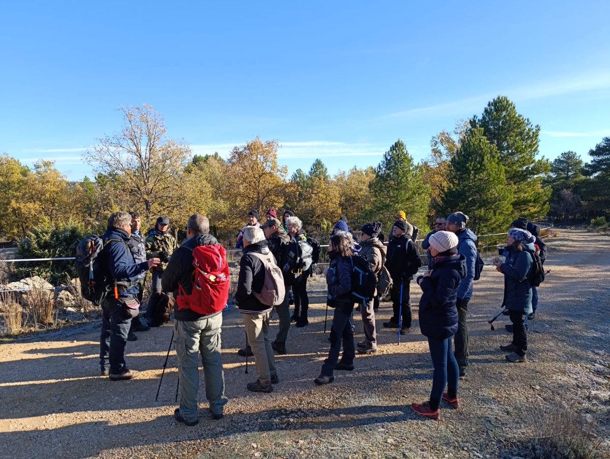 Rewilding Spain Oficial tweet media