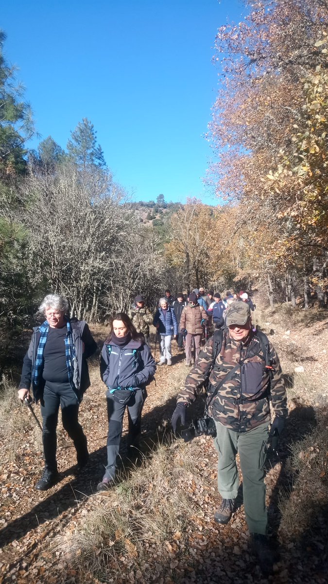 Rewilding Spain Oficial tweet media