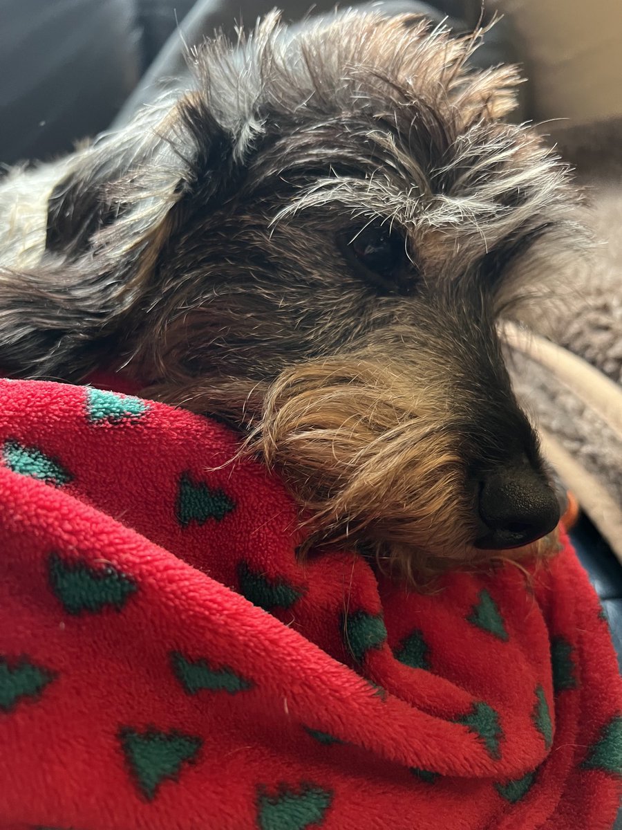 Im Ernst? Spazieren? Bei dieser Kälte? Nope.👎