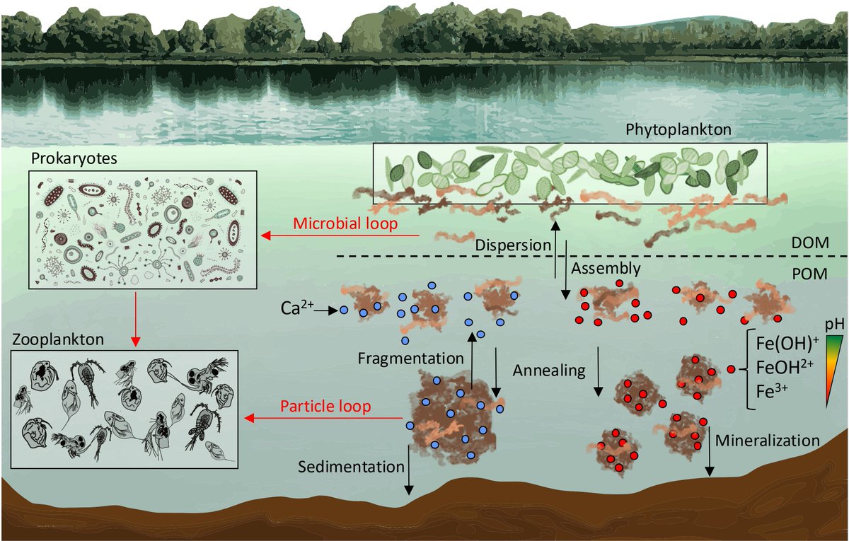 Isabel Reche tweet media