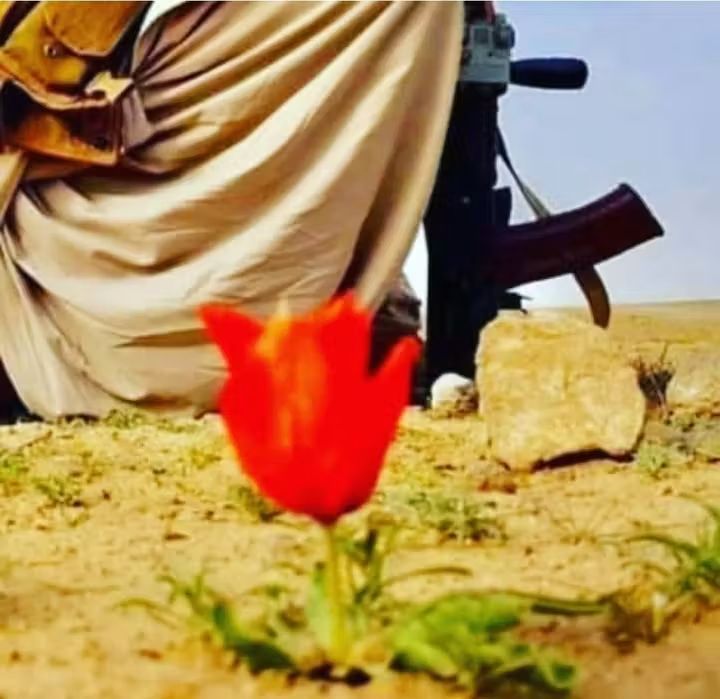 اپنے آپ کو اتنا مظبوط کریں کہ اکیلے جی سکیں!!!✍🫰🤝❤️‍🩹

#اردو_زبان