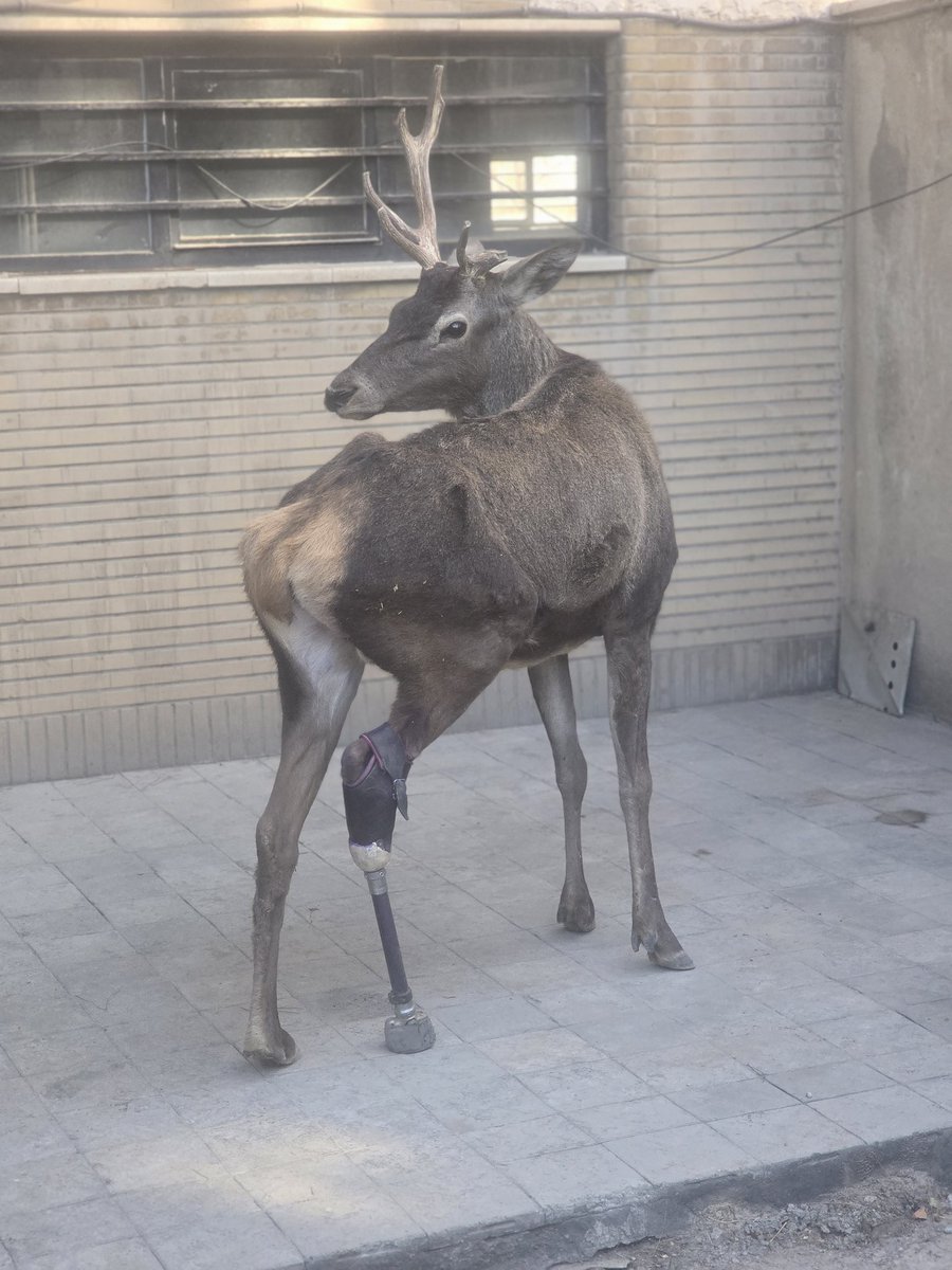 آبان جالب بود