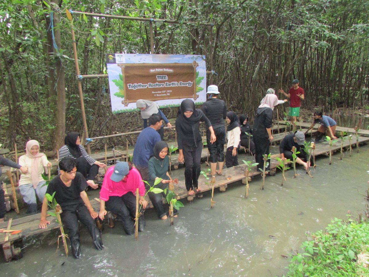 envihsafkmui's tweet photo. Halo, Warga KL! Pada hari sabtu yang lalu, Envihsa FKM UI 2025 ikut merayakan Hari Pohon Sedunia dengan menanam mangrove di Ekowisata Mangrove Angke Kapuk, lho! 🤩 Kamu ikut juga nggak, nih? Yuk, kita intip keseruannya melalui foto-foto di bawah ini! ✨️ https://t.co/9WrmeiDbwa