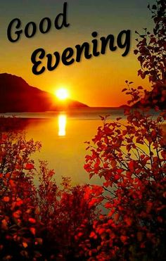 ZayanHaider007's tweet image. Good Evening Gem