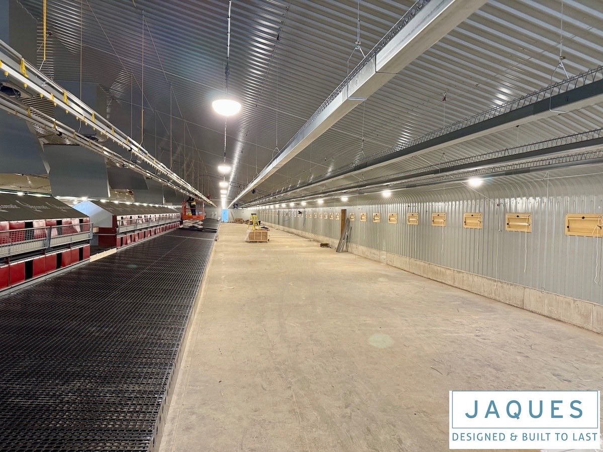 Jaques Int Ltd tweet media