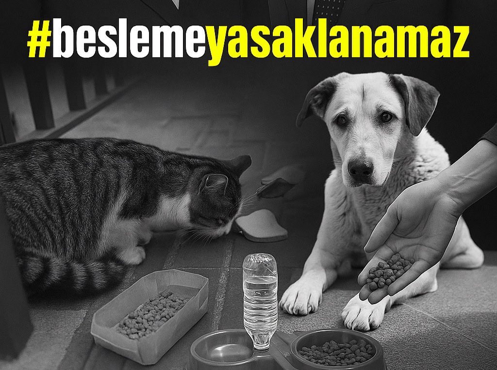 “Kontrollü besleme” söylemi, halkın vicdanını törpülemek için kullanılan yeni bir oyundur.
Biz yıllardır zaten kontrollü, bilinçli ve sorumlu şekilde besliyoruz.
Bu kavramın arkasına saklanıp yasağı meşrulaştıramazsınız.

Halk besler, korur, yaşatır.
İzin verseniz de vermeseniz