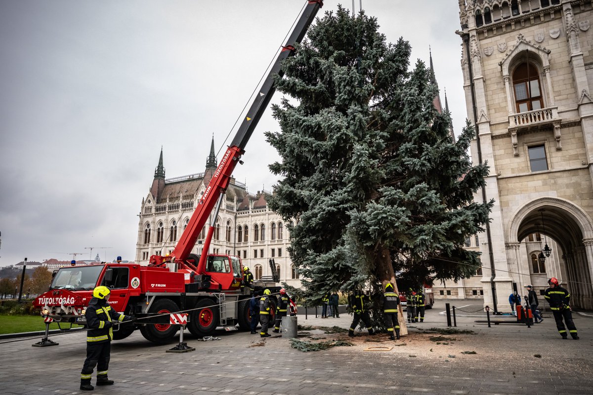 indexhu's tweet image. Megérkezett az Ország Karácsonyfája a Kossuth Lajos térre. Idén egy negyvenesztendős, huszonhárom méter magas ezüstfenyőre esett a választás.

index.hu/belfold/2025/1…

Fotó: Németh Kata / Index

#Hungary #Christmas #tree #indexhu