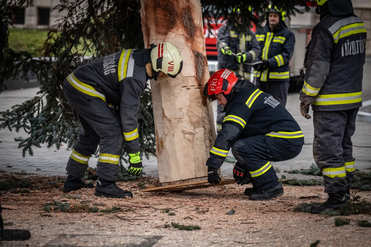 indexhu's tweet image. Megérkezett az Ország Karácsonyfája a Kossuth Lajos térre. Idén egy negyvenesztendős, huszonhárom méter magas ezüstfenyőre esett a választás.

index.hu/belfold/2025/1…

Fotó: Németh Kata / Index

#Hungary #Christmas #tree #indexhu