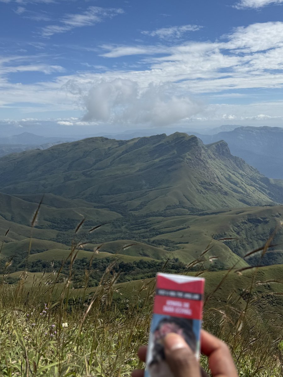 axbixh's tweet image. Told her I knew a spot