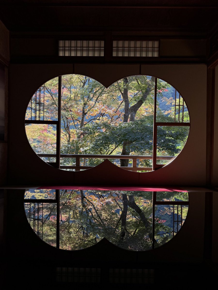 s82iv's tweet photo. 京都🍁 https://t.co/Gm2SIGLlyq