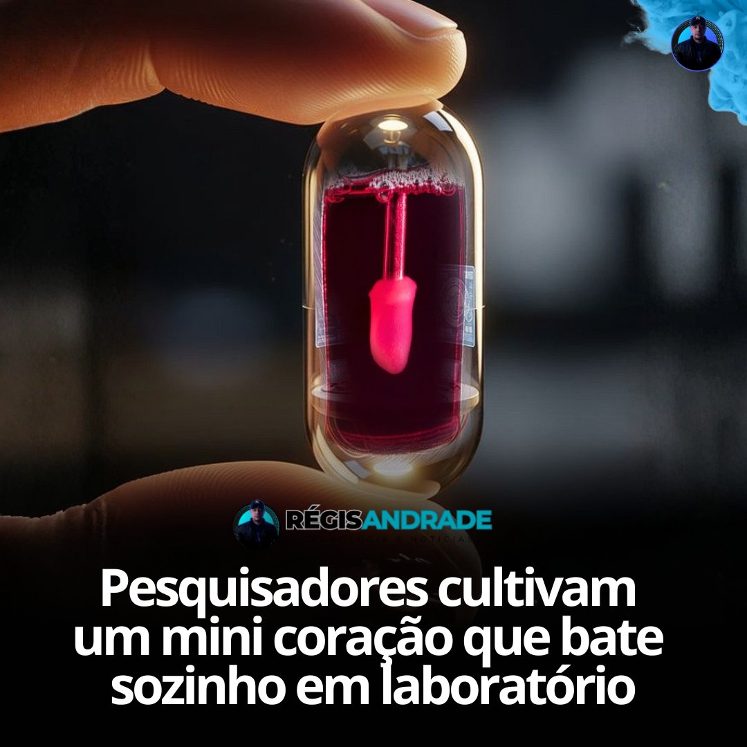 regisandrade32's tweet image. Engenheiros criaram um mini coração que bate sozinho com ritmo e circuitos elétricos próprios. O organoide permite estudar o desenvolvimento cardíaco inicial, entender doenças congênitas e testar terapias sem depender de órgãos completos. O avanço aproxima a medicina regenerativa…