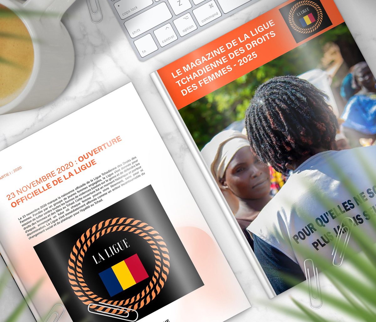 Ligue235 tweet media