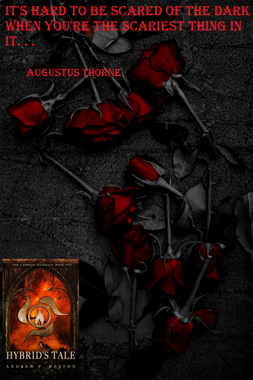 WestonAndrew's tweet image. #AugustusThorne 
▲ The Cambion Journals
It’s hard to be afraid of the dark when you’re the scariest thing in it
thecambionjournals.blogspot.com
raventalepublishing.com
#book #readercommunity #recommended #horror #sff #CambionJournals #readandreview
amazon.com/dp/B09WF4MKLB