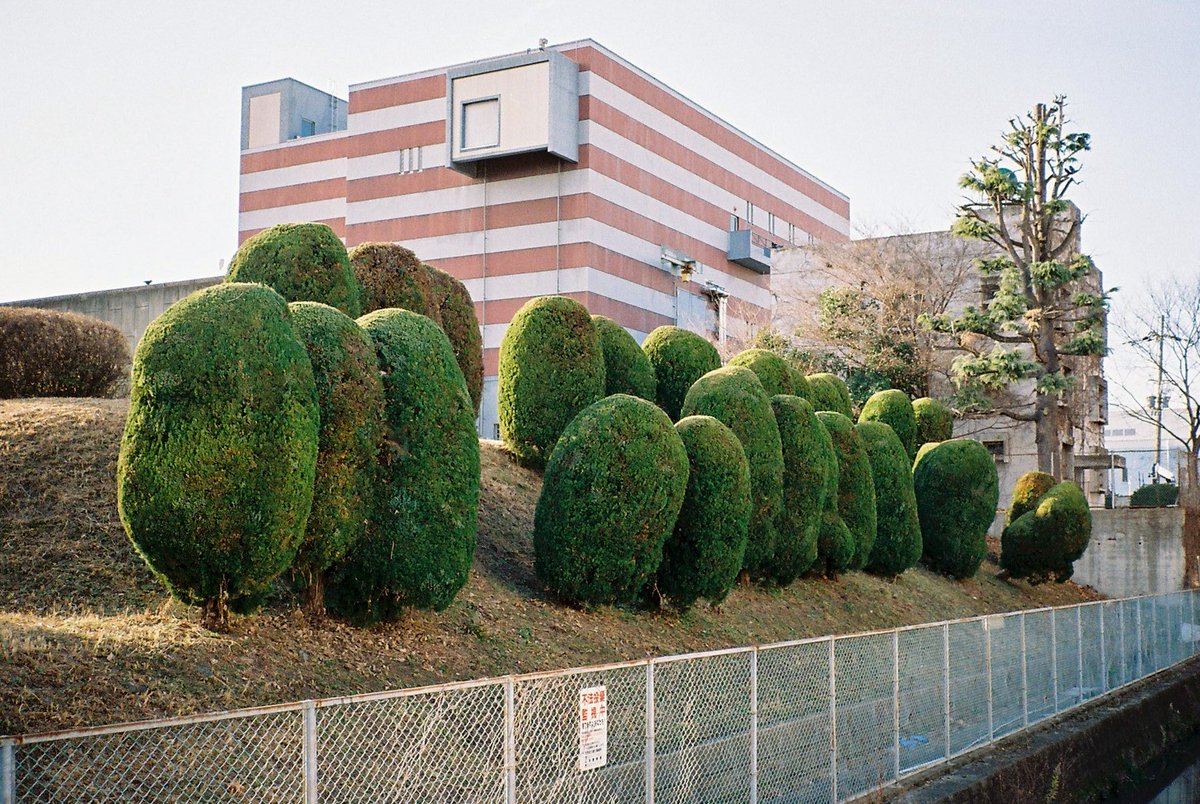 Yasu¹⁹⁶⁷ (@thousand1967) / Posts / X