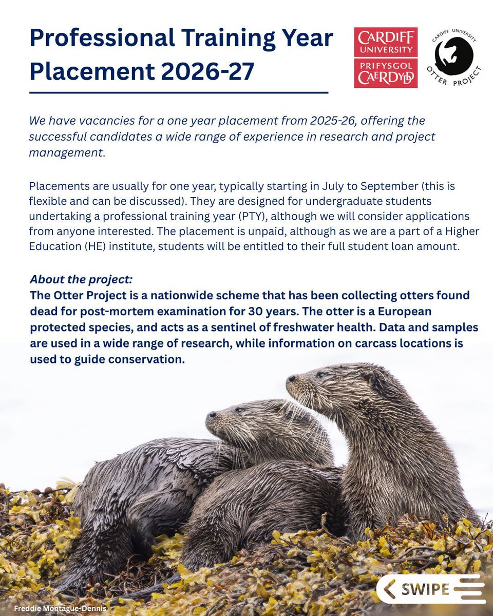 Otter_Project's tweet image. Applications close on December 1st for our 2026-27 Professional Training Year Placements!

Looking for an undergraduate placement in conservation with a focus on lab work, data analysis, and anatomy? 

Apply now to join the Otter Project as a research assistant!