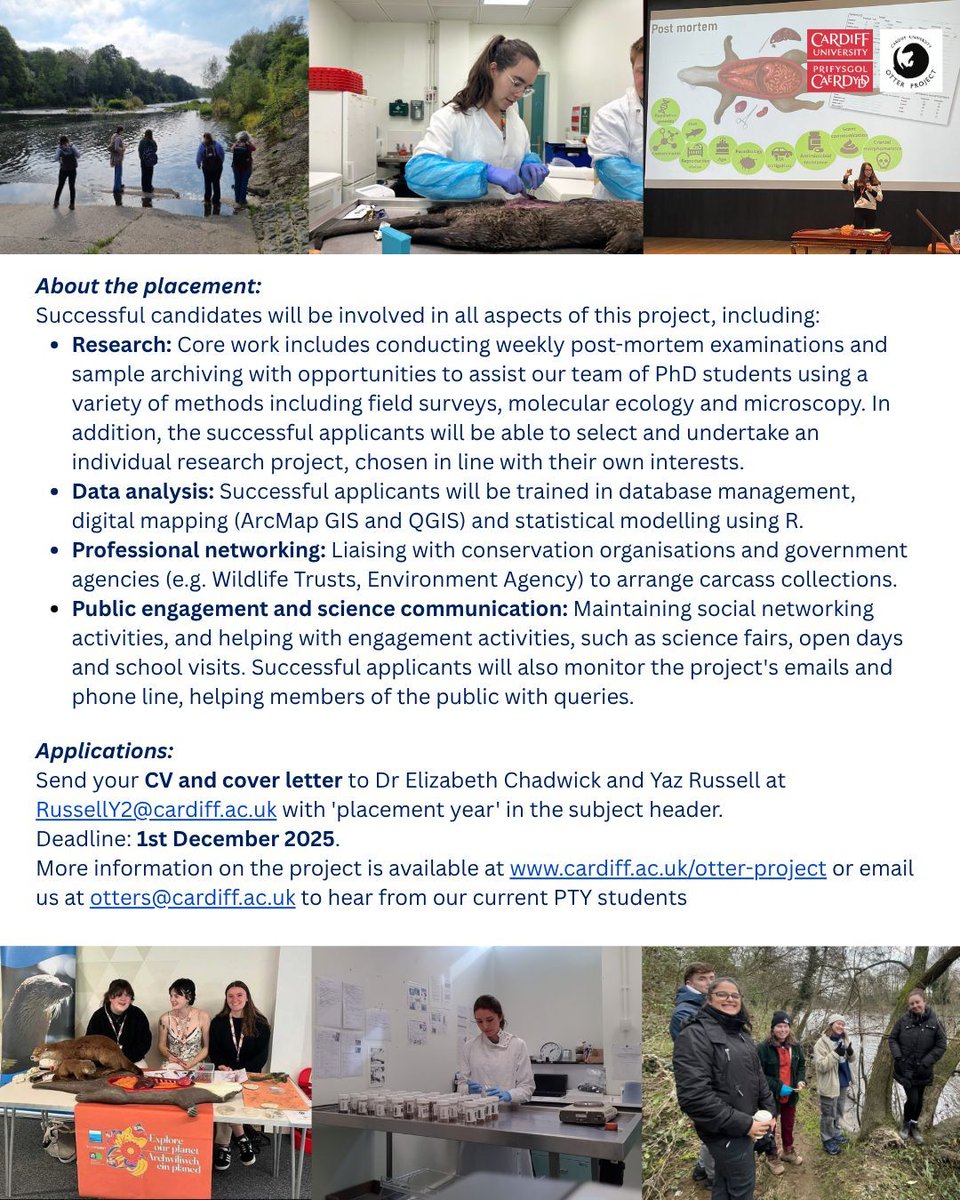 Otter_Project's tweet image. Applications close on December 1st for our 2026-27 Professional Training Year Placements!

Looking for an undergraduate placement in conservation with a focus on lab work, data analysis, and anatomy? 

Apply now to join the Otter Project as a research assistant!