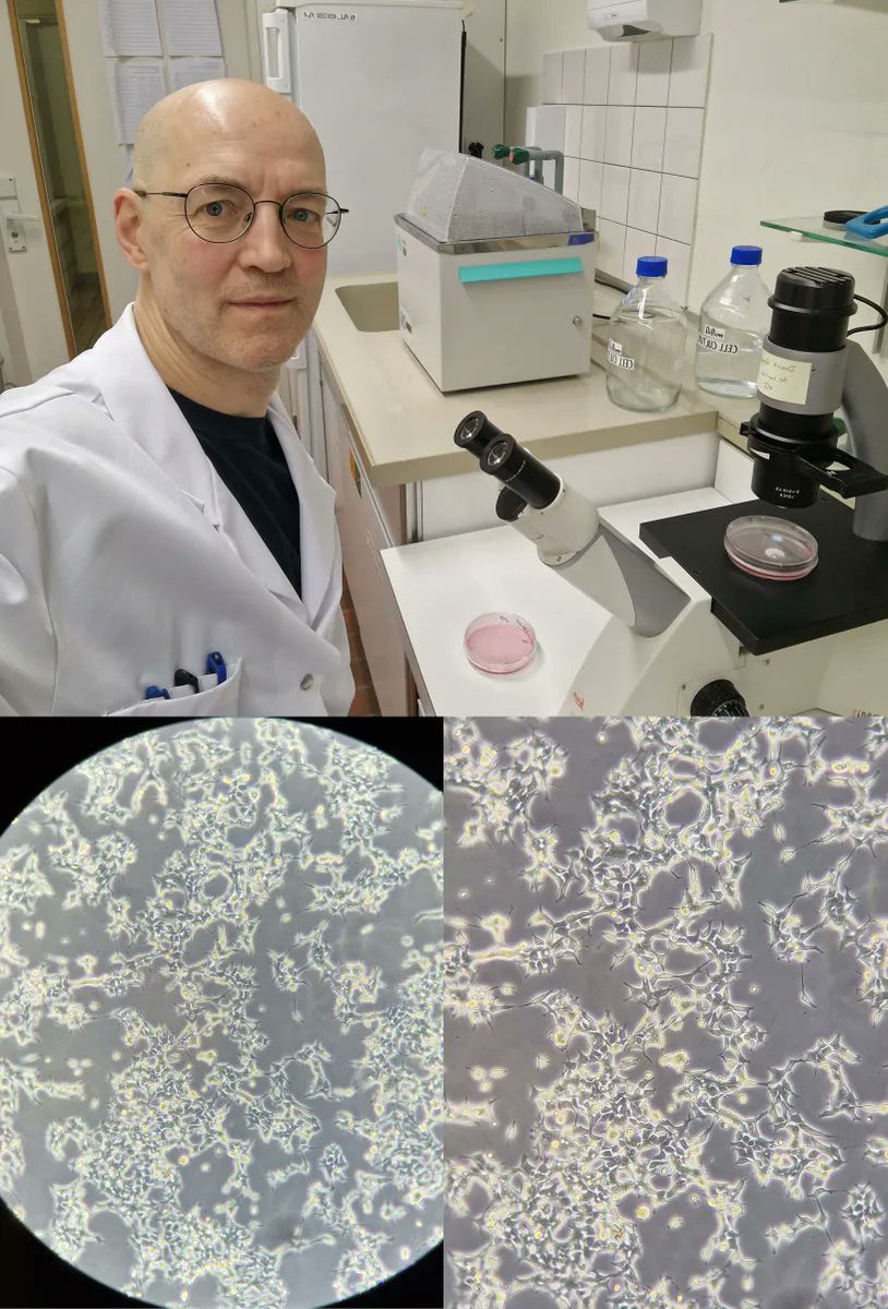Transfidelity_'s tweet image. Here is Dr. Dimitri Scherbakov and his wonderful little friends (HEK293 cells) together, preparing for the new experiment! 

Stay tuned for the next results!