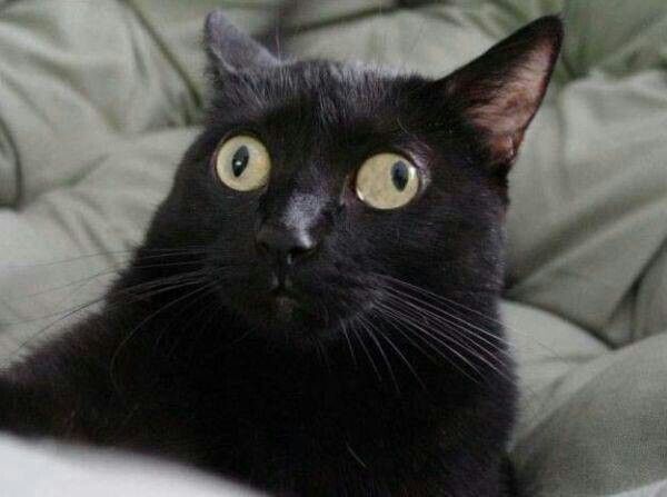 vxunderground's tweet image. Xitter people are saying it being displayed initially as Israel is &quot;fakes news&quot;, &quot;misinformation&quot;, &quot;4chan trolls&quot;, &quot;grouper trolls&quot;, &quot;anti-semites&quot;, etc

I assert with a high degree of confidence I saw it list the location as Israel. However, with so many people asserting it&apos;s…