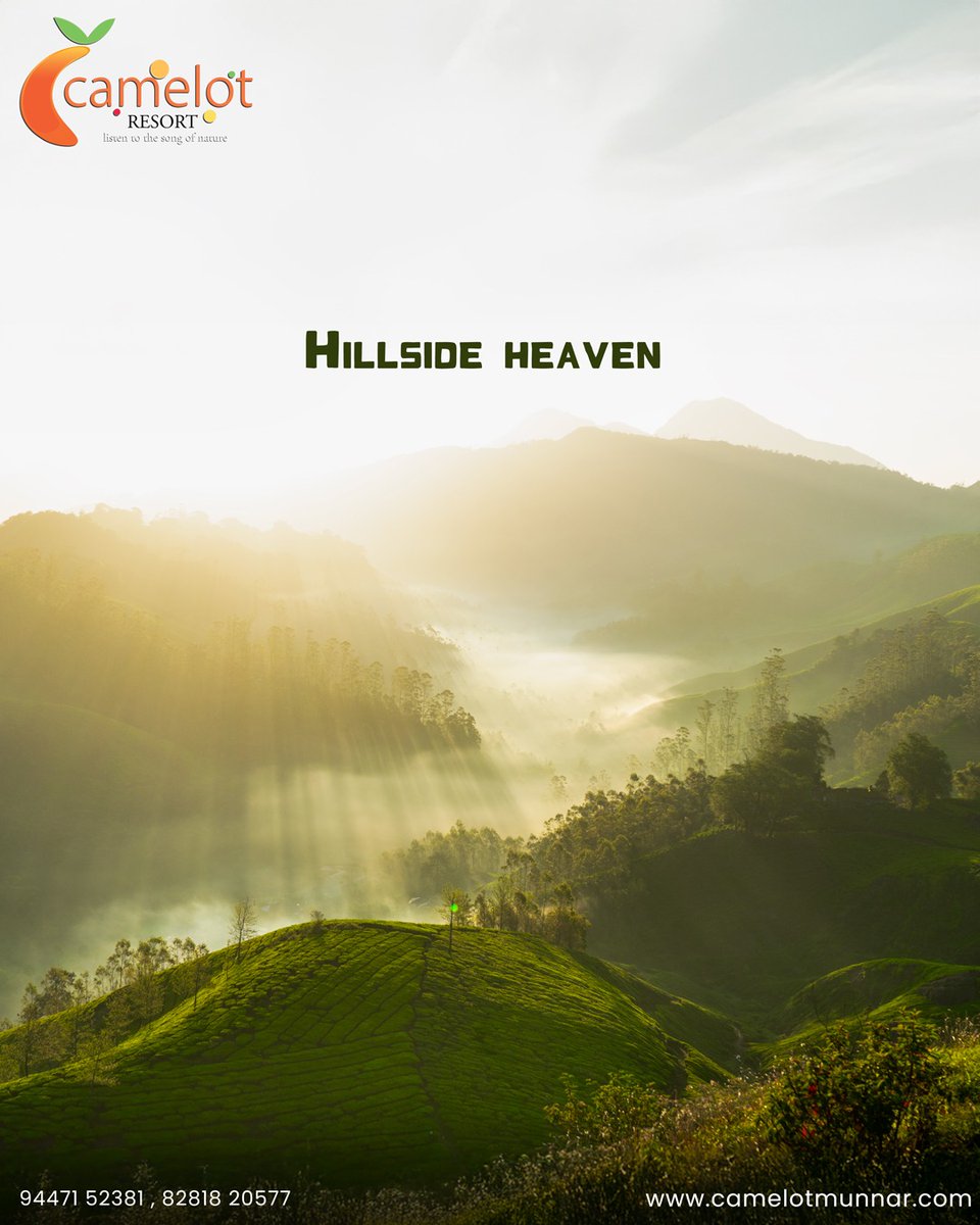 ResortCamelot's tweet image. Looking for the Best Luxury Resorts in Munnar? Your perfect mountain escape begins at Camelot Resort! 🌿
Don’t just dream it… live it! 🌄✨

Camelot Resorts 
camelotmunnar.com
CALL US: +91 9447152381, +91 8281820577

#BestLuxuryResortsInMunnar #CamelotResort #MunnarResorts