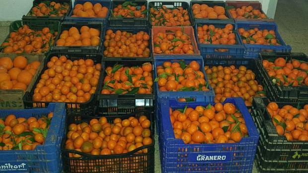 revistapoble's tweet image. Interceptan a una veintena de personas #robando #naranjas en #Nules.

revistapoble.net/2025/11/24/int…