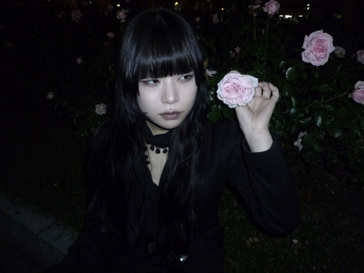 白昼夢 tweet media