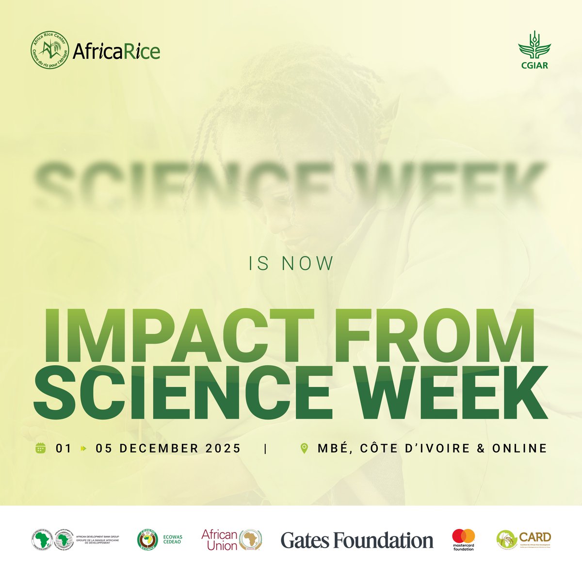 AfricaRice's tweet photo. 🔄 Science Week evolves! Introducing @AfricaRice Impact from Science Week (#AISW) 2025 🌾
From research → partnerships → real impact for #Africa's rice self-sufficiency
📅 Dec 1-5, 2025
🔗 Details: https://t.co/HxuSMybALB
#AISW2025 #ImpactFromScience https://t.co/LUb8JzCtGG