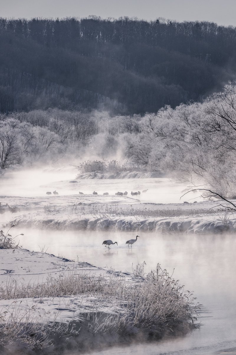 氷点下20℃の北海道の朝が絶景すぎた。