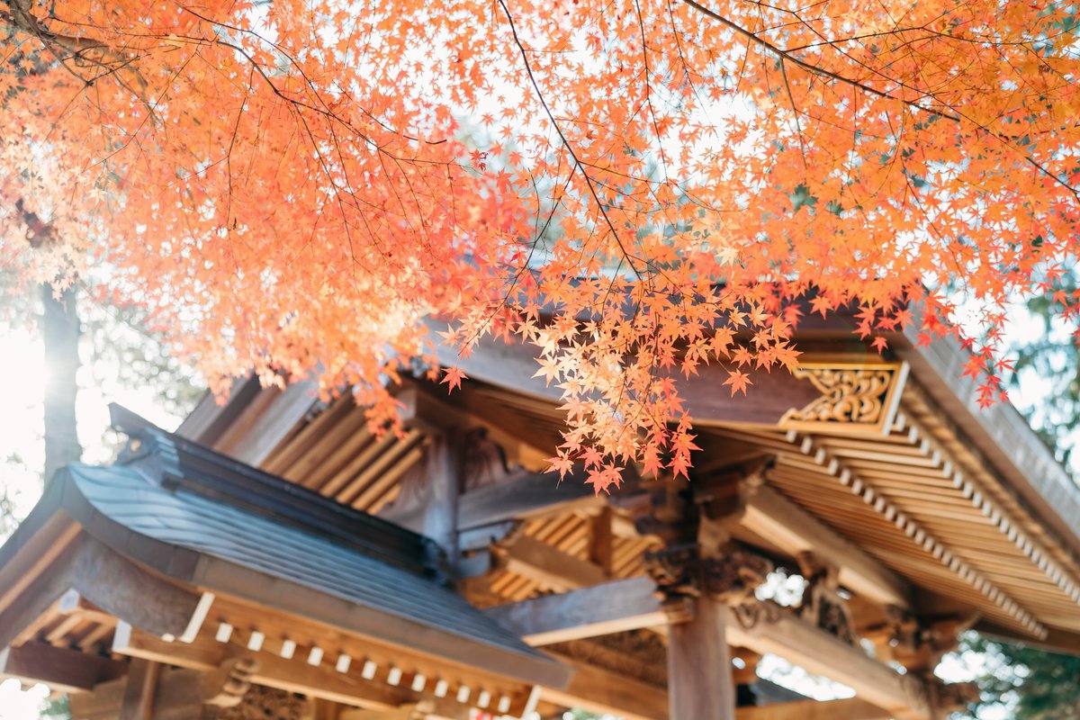 今日は七五三撮影でした！
7歳のお姉ちゃんと5歳の弟くんの、仲良しごきょうだいでした。

✨ここまで無事に成長してくれて、どうもありがとう。
パパも、ママも、じいじも、ばあばも、きみたちがいてくれるだけでとっても幸せだよ✨

そんな想いが形になるように、一生懸命撮らせていただいてきました