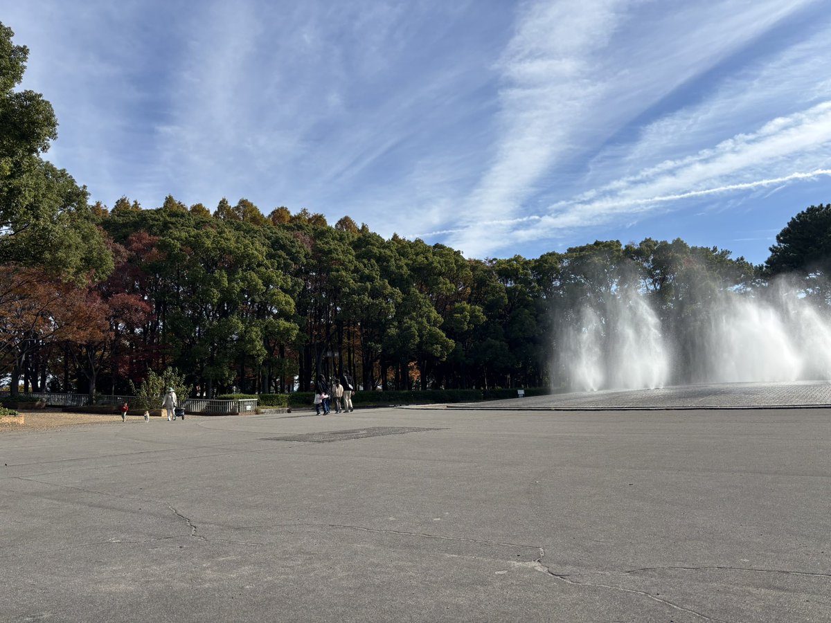 hirokichan23's tweet photo. 昨日は公園まで散歩。紅葉みれてなかったから、みれてよかったよかった^ ^ https://t.co/MiEgcx5Pjy